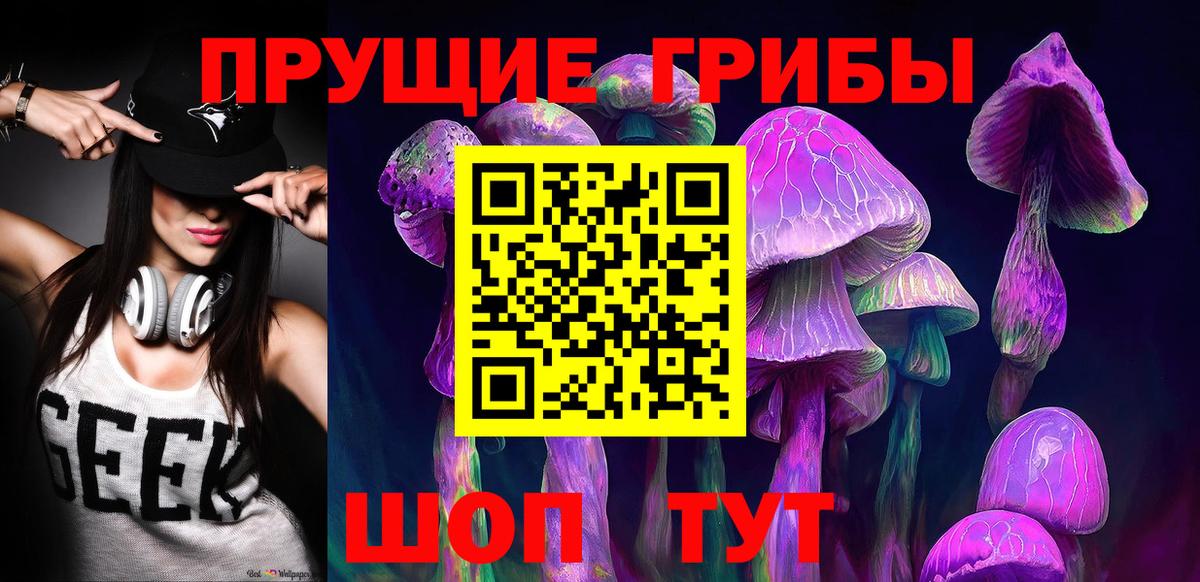 Видное  купить наркотик  Вход с VPN  Галлюциногенные грибы Cubensis  Псилоцибиновые грибы Psilocybe 